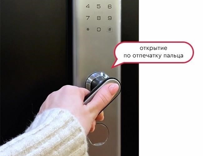 Стоит ли покупать дверь с биометрическим замком?