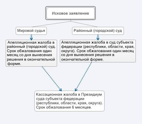 Юридические требования к подаче дополнения к апелляции