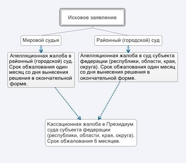 Как апелляционный суд оценивает апелляционные заявления