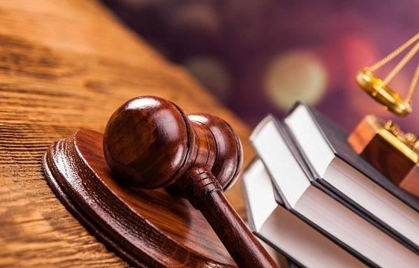 Ключевые факторы для принятия судами решений по спорам о потреблении энергии в соответствии со статьей 333