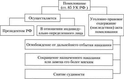 Ключевые юридические различия: Помилование и невиновность в уголовном праве