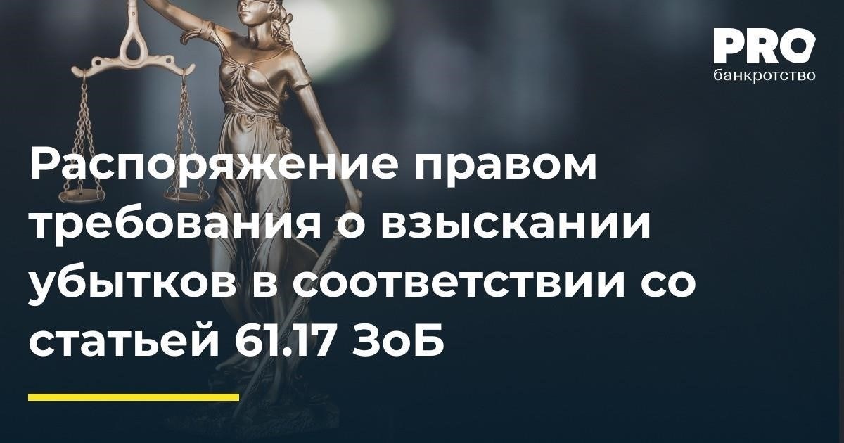 Обзор статьи 61.17 и ее правовых последствий