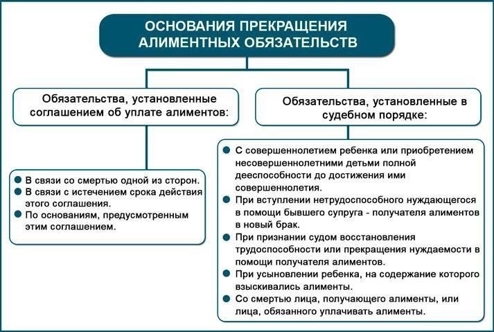 Определение объема алиментных обязательств в юридическом документе