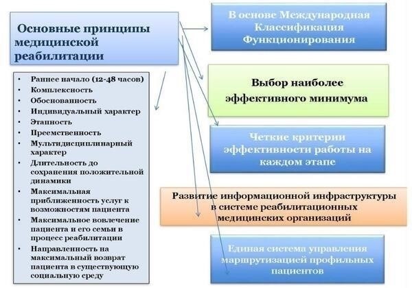 Основные этапы реабилитации: Пошаговое руководство