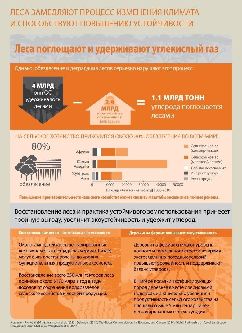 Роль обезлесения в изменении климата