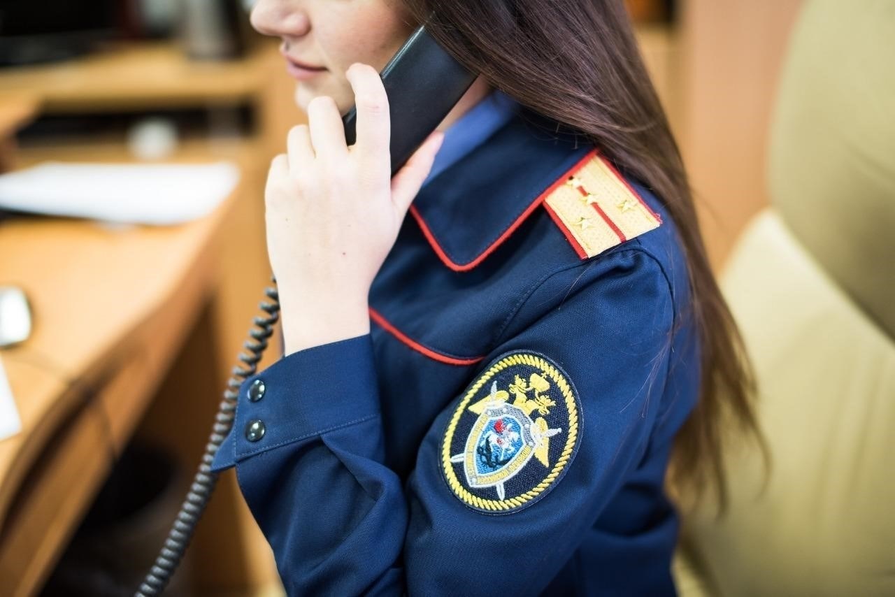 Роль общественных советов в следственном процессе